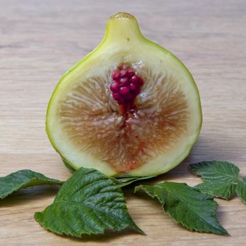 a fig and a blackberry fruits with a little humor, fruits for sex education
