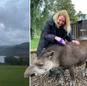 armathwaite hall hotel and spa mindfulness with animals review 2023